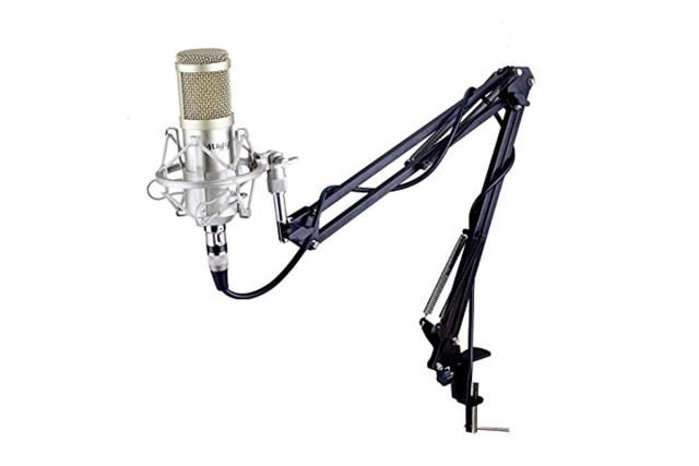 Recording studio microphone